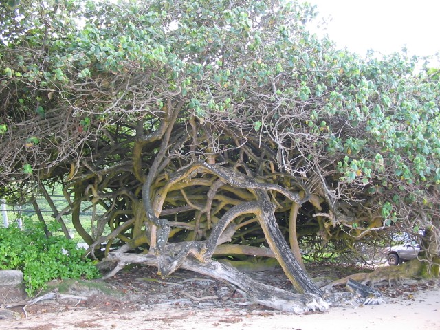 Click to see next photo