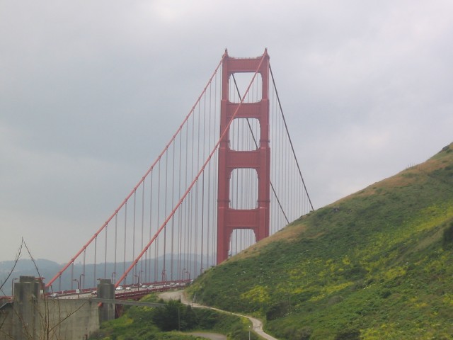 Click to see next photo