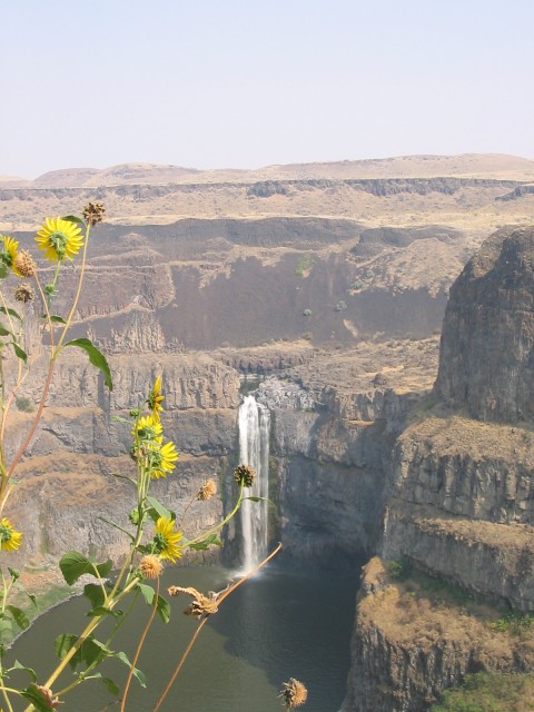 Click to see next photo