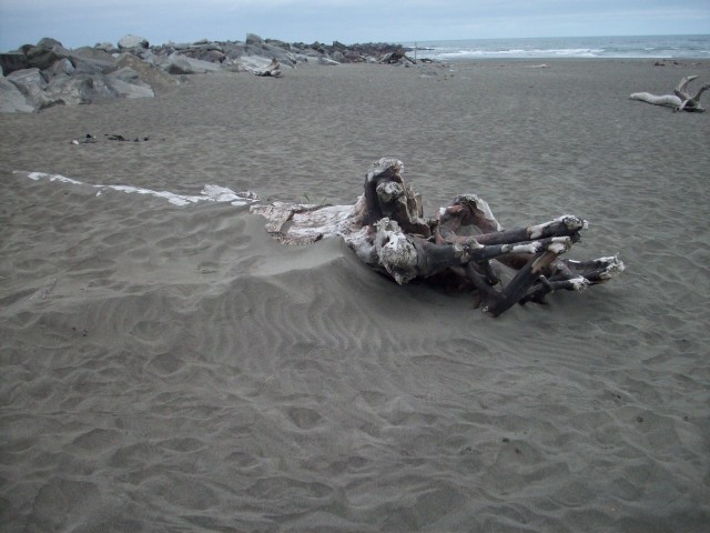 Click to see next photo