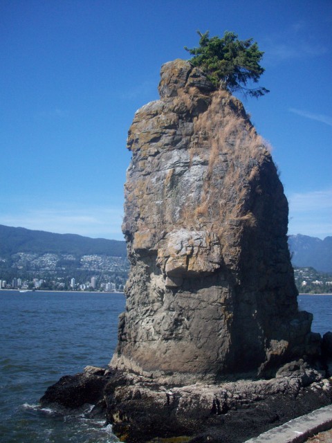 Click to see next photo