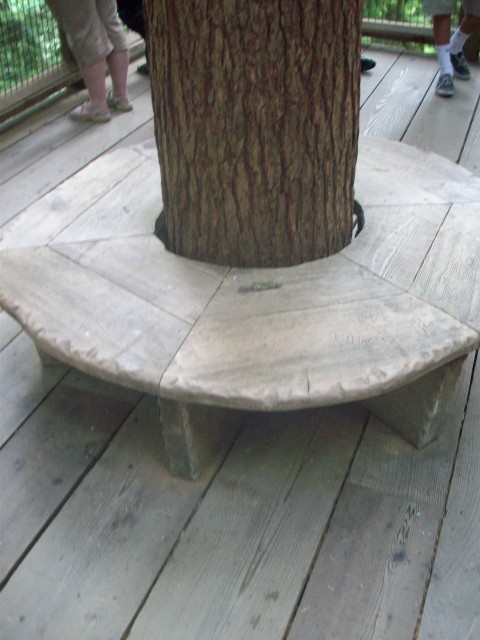 Click to see next photo