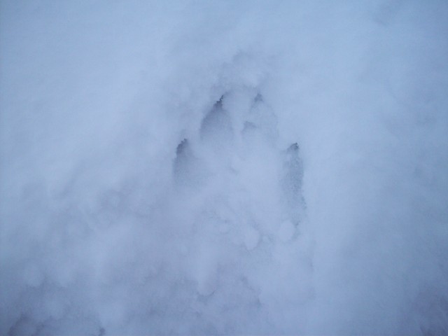 Click to see next photo