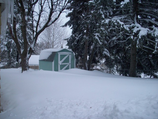 Click to see next photo