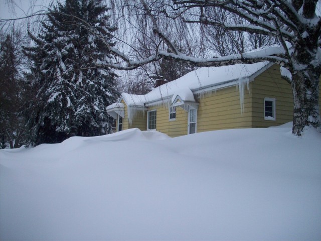 Click to see next photo