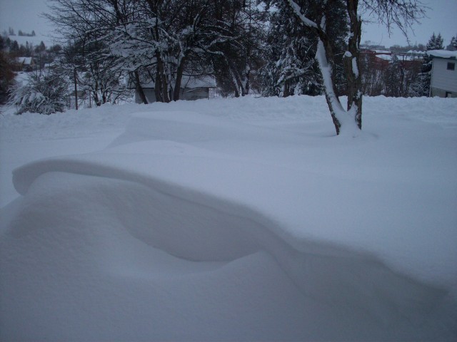 Click to see next photo