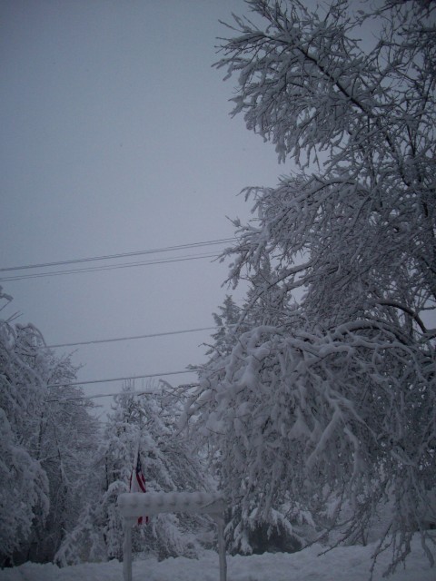 Click to see next photo