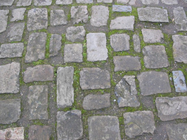 Click to see next photo