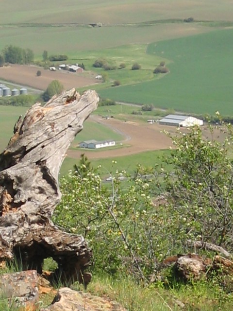 Click to see next photo