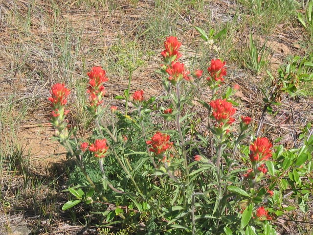 Click to see next photo