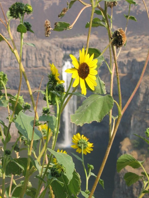 Click to see next photo
