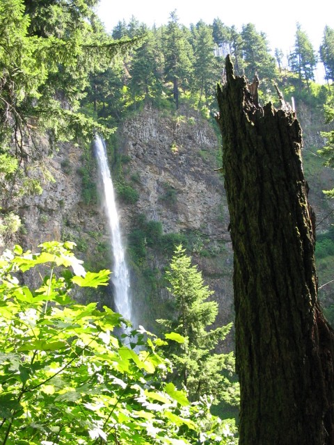 Click to see next photo