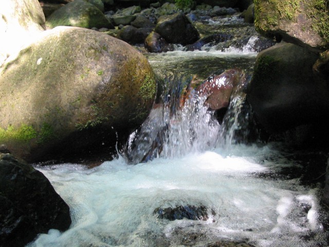 Click to see next photo